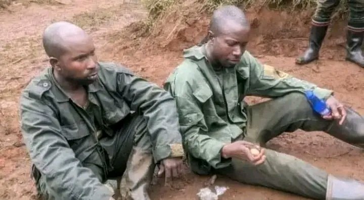 mulikuza_jordan's tweet photo. ‼️🛑‼️🇨🇩#RDC #FARDC #Wazalendo : Après l'arrêstation des traîtres qui donnaient consignes aux militaires rwandais à l'aide des appareils GPS pour bombarder les positions de nos militaires, le rwanda a tenté encore de monter ces drones hier pour essayer de bombarder kwa #mulima sans succès.

📌 3 de ces drones ont été interceptés et neutralisés, la délégation en provenance de Kinshasa a ravitaillé les appareils capables d'intercepter les drones et les neutraliser en même temps.

🟥 Les drones déployés par la France au rwanda derangent ces derniers temps les hauts plateaux d'uvira, fizi et mwenga, si les traitres n'osent plus de faire leurs manoeuvres nous allons neutraliser tout appereil volant le space aérien.