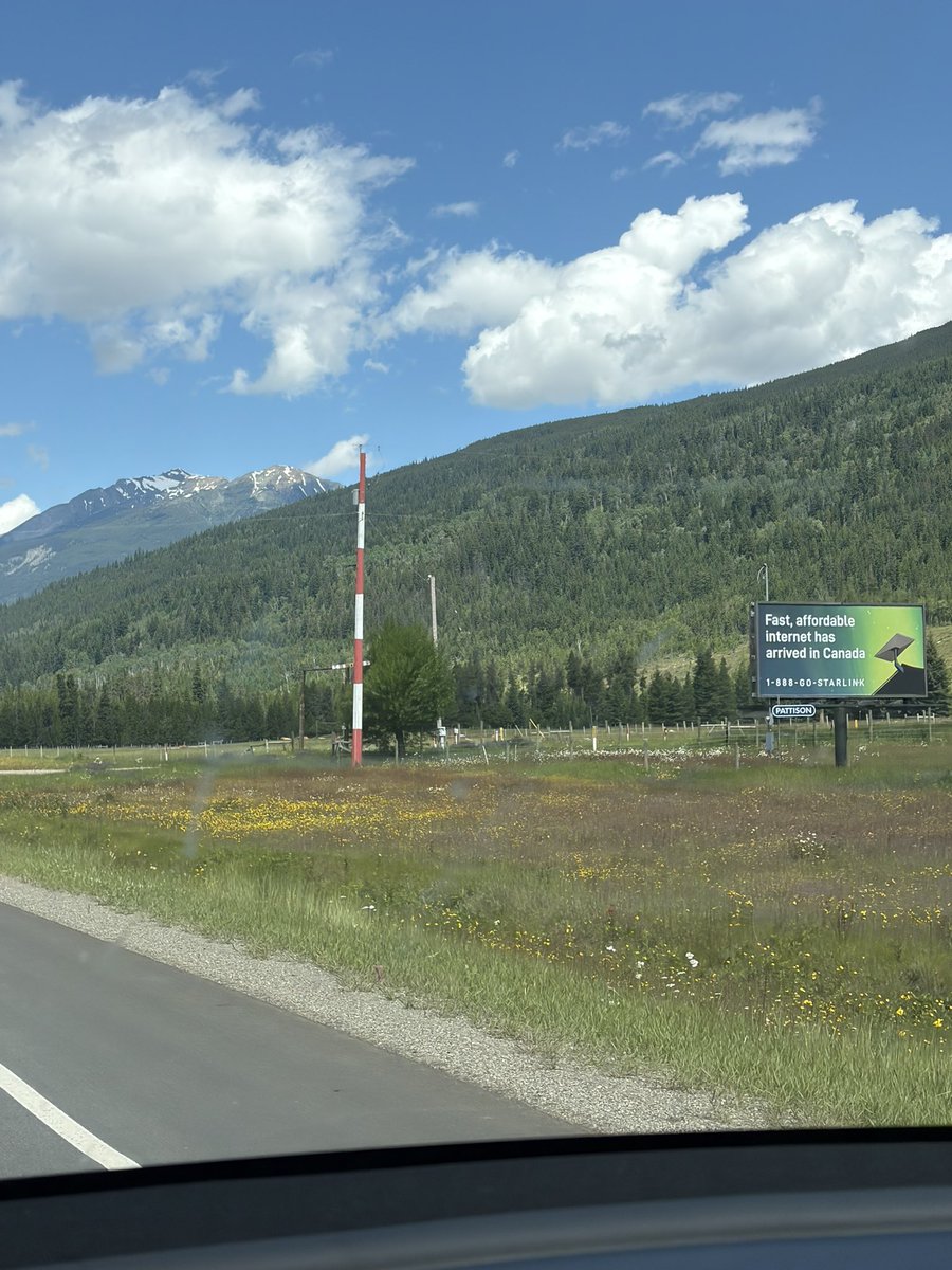 Drive Tesla 🇨🇦 tweet media