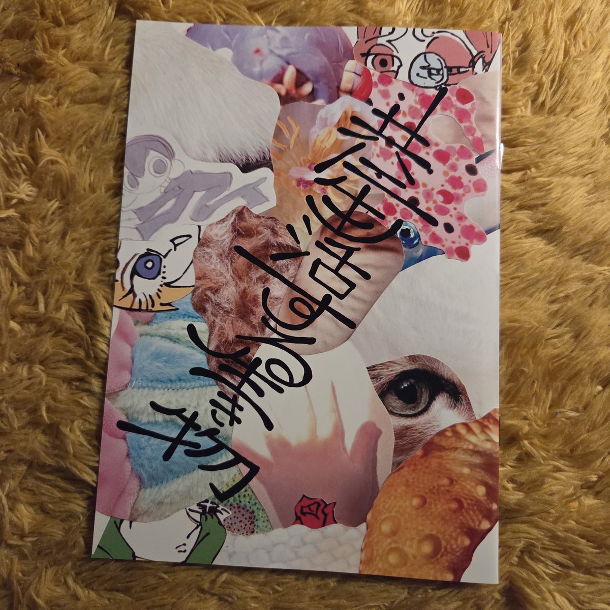 fukikun251's tweet photo. 【NewZINE💛🖤】
私は普段生活をしていて｢自分にとって大切な存在｣があったが、身の回りのみんなにも私と同じ様に大切な存在はあるのではないだろうかと、寄稿を募り作ったZINE。
編集は、私とかなとこ氏(@kanatoko393)
文字、絵、写真。皆、様々な表現で大切な共に生活する生き物をおしえてくれた。 https://t.co/fkG0DSwQge
