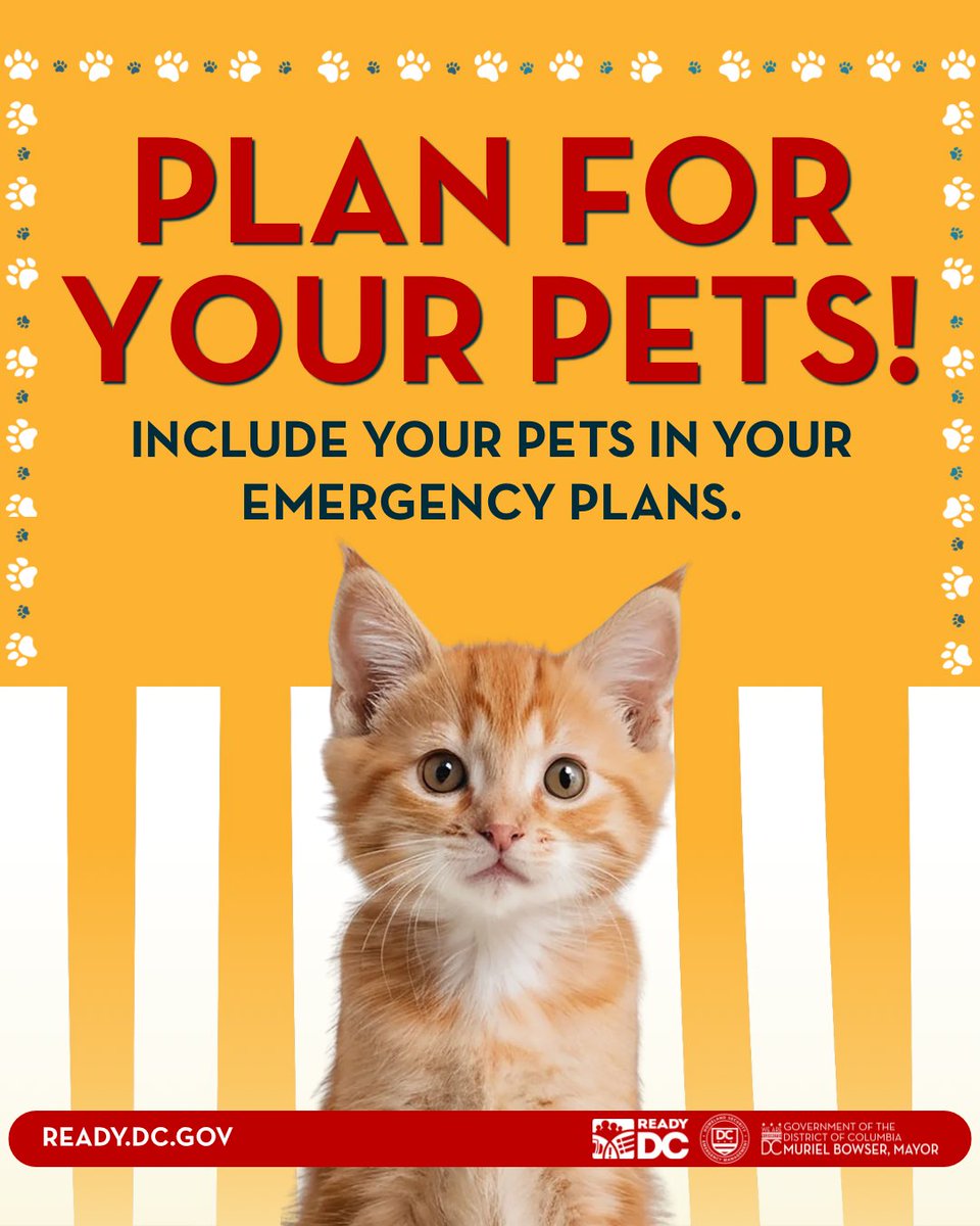 DC_HSEMA's tweet photo. Pets are family. Don't forget to include them in your emergency plans. 

🐾 Add supplies like food, bowls, and a leash to your emergency supplies.
📷 Take pictures of vet and adoption records; save them in the cloud.
🏨 Know nearby pet-friendly hotels and shelters.

Learn more at https://t.co/9SFUUyDepb.
