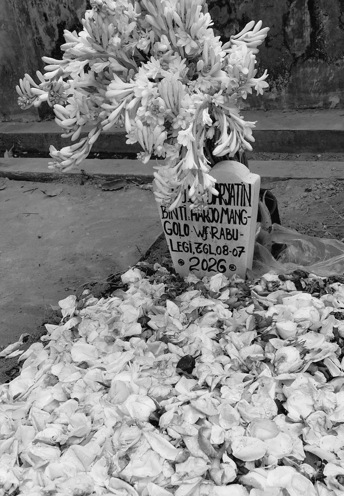golekrasa's tweet photo. Wednesday morning. Eyang Putri passed away --- "sampun kapundut ing ngarsaning gusti", they said. My beloved, my spirit animal, my other half, my inspiring bookworm --- she's gone forever.

Wednesday night. Her favorite flower bloom like a moonshine.

Swarga langgeng, Eyang. ❤️ https://t.co/eYc00R9Qeh