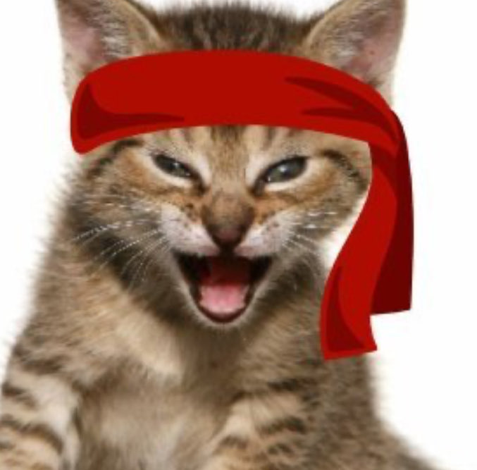 AmericaaFckYeah's tweet photo. $RKT on robinhood has so much potential. The meme stock movement has now been tokenized forever on the robinhood chain. The iconic roaring kitty recognized around the world and beginning a new chapter. Had potential for billions. The only chain this meme should be on is robinhood https://t.co/YfeqEmrBdN