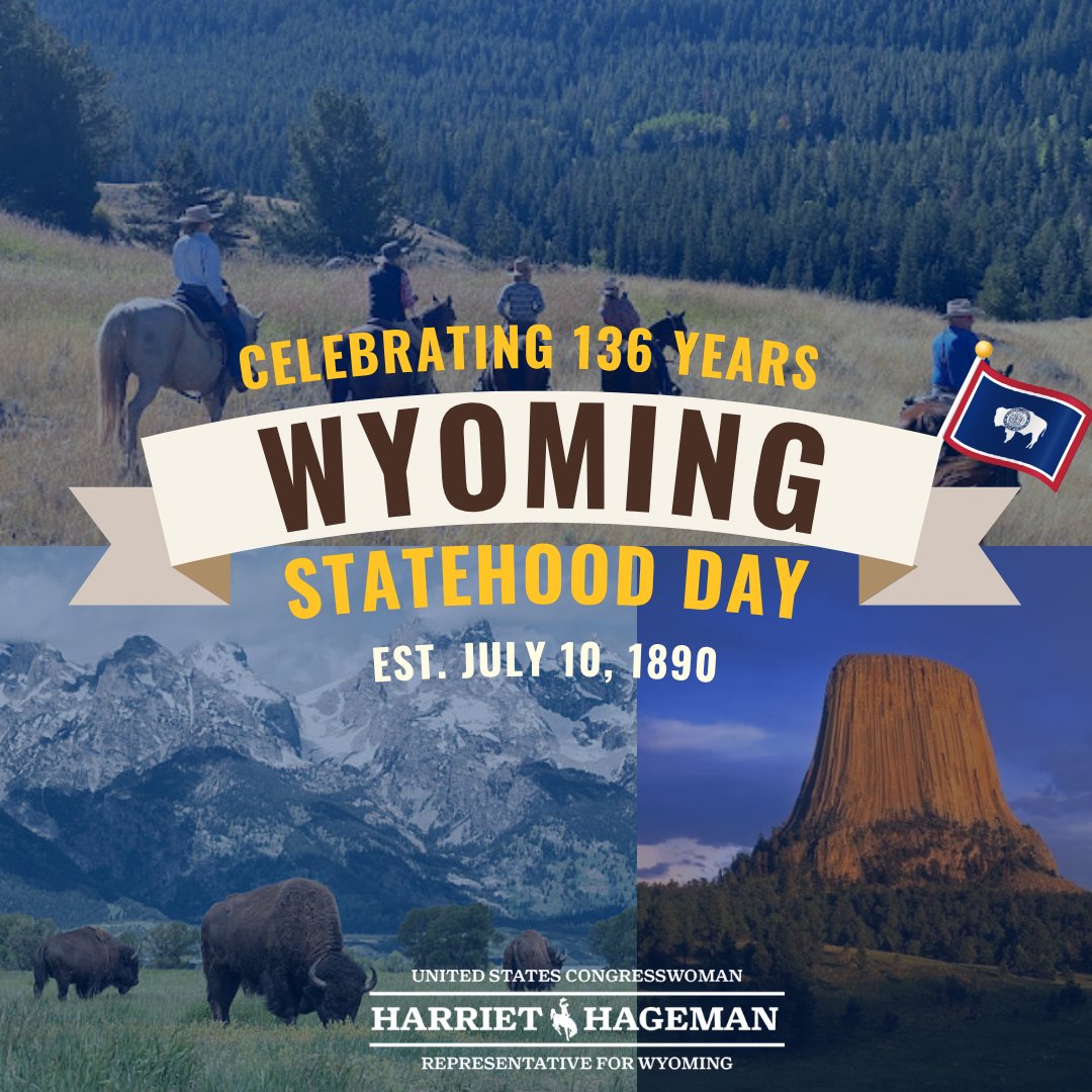 Rep. Harriet Hageman tweet media