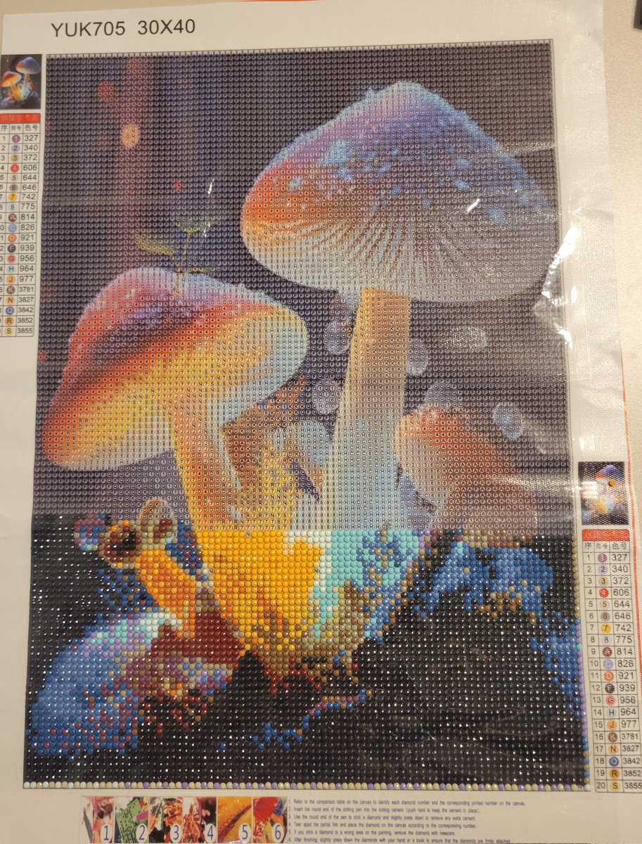 BJJS8TuspD343TX's tweet photo. キノコ🍄生えてきました😂
#ダイヤモンドアート https://t.co/XiyXXIMNfB