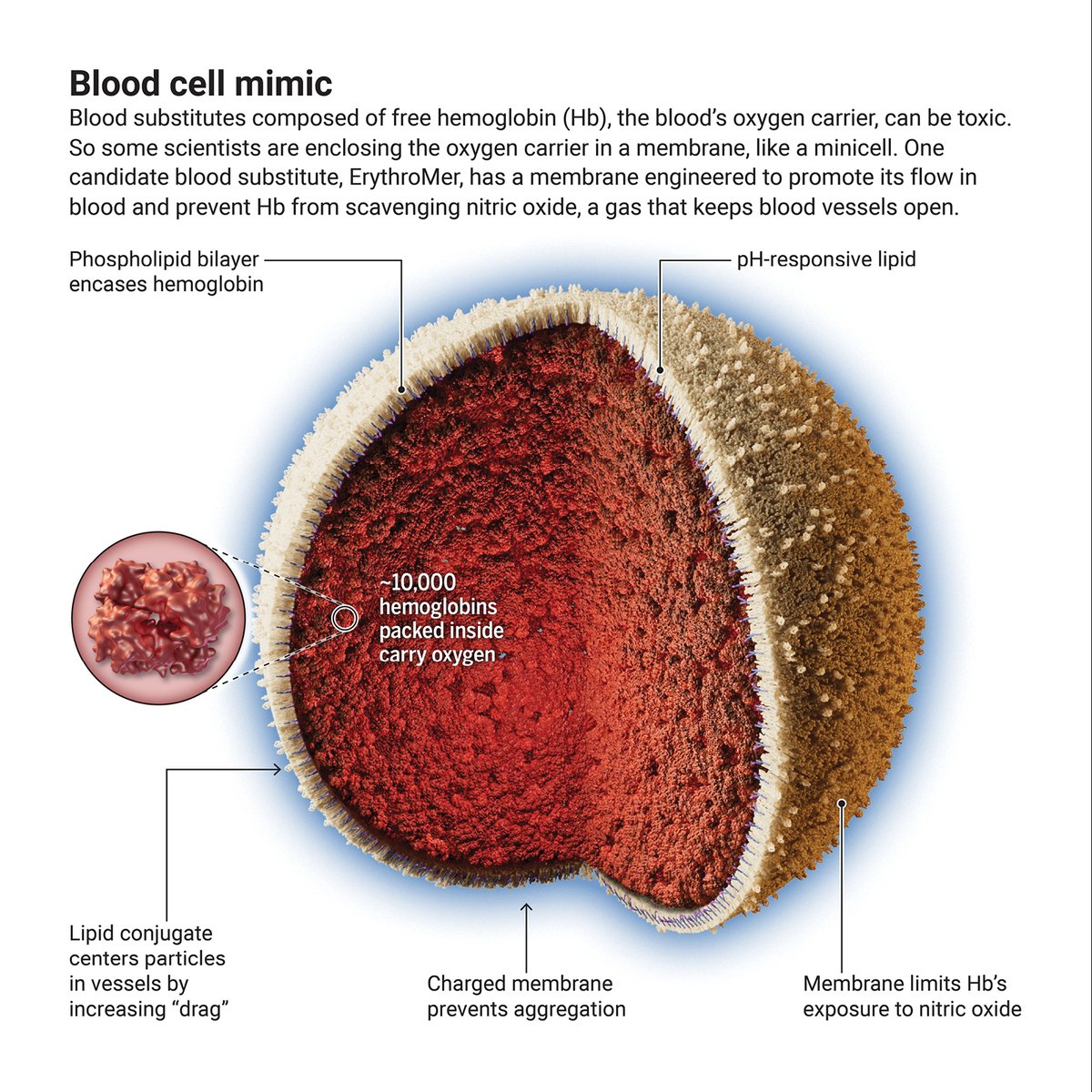 News from Science tweet media