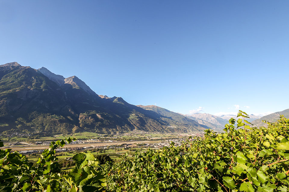 Bereilvino's tweet photo. Degusta Vigna 2026: Grosjean Vins apre le porte della propria tenuta per vivere la viticoltura valdostana tra vino, musica e territorio https://t.co/sS8hS4PJfj #vino #degustazionevini #grosjeanvins #musica #territorio https://t.co/tdUCp462SW