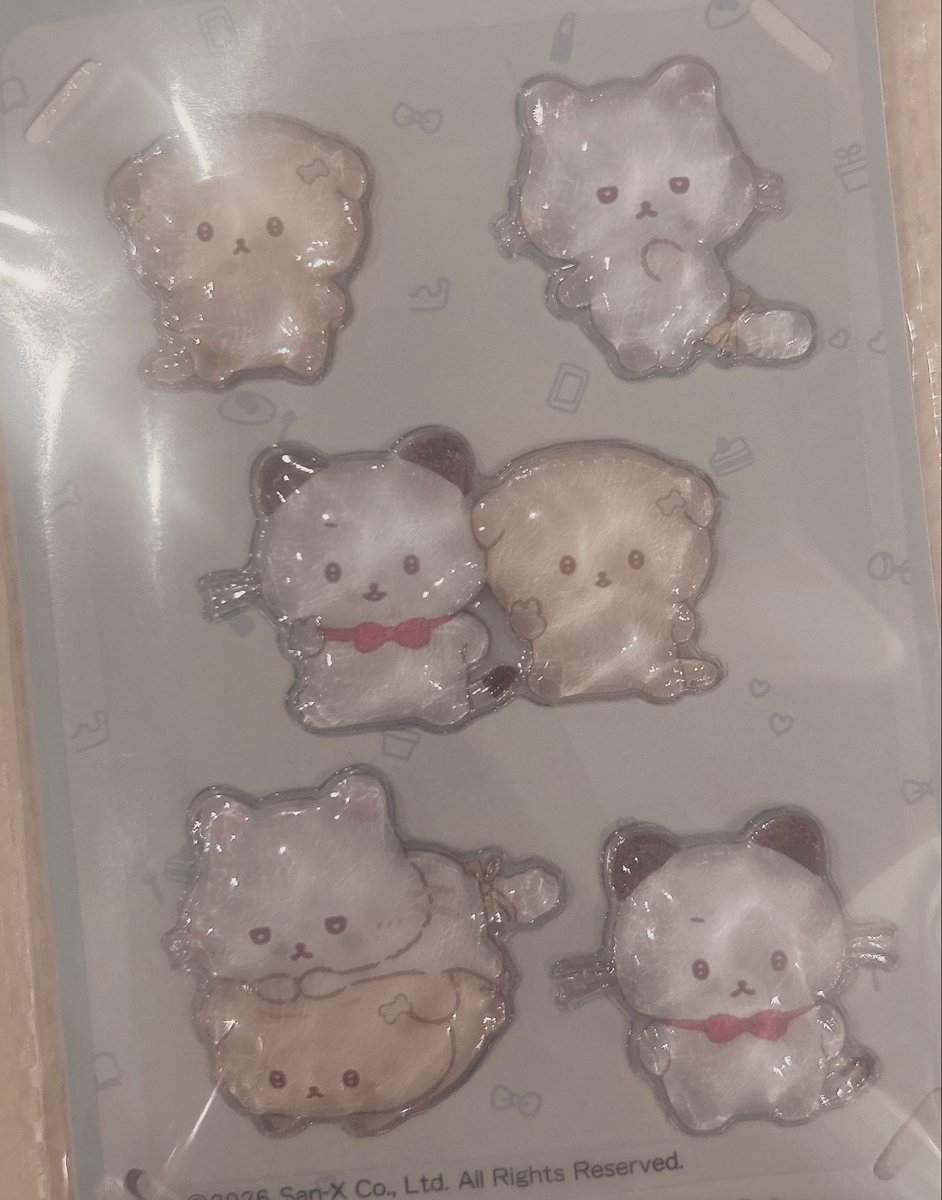 可愛いシールを見つけて購入しちゃいました(๑˃̵ᴗ˂̵)🐱