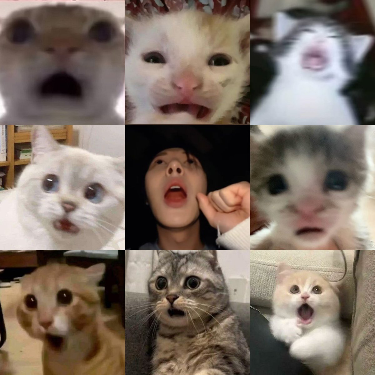 Yellren_7's tweet photo. 누가 황런쥔인지,, https://t.co/877sn9rnPH