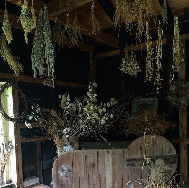 gardeniavibe's tweet photo. a witch's hut https://t.co/EnImK28Qw3