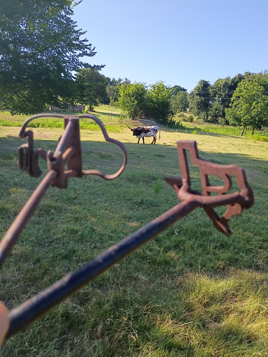 BuffaloRon tweet media
