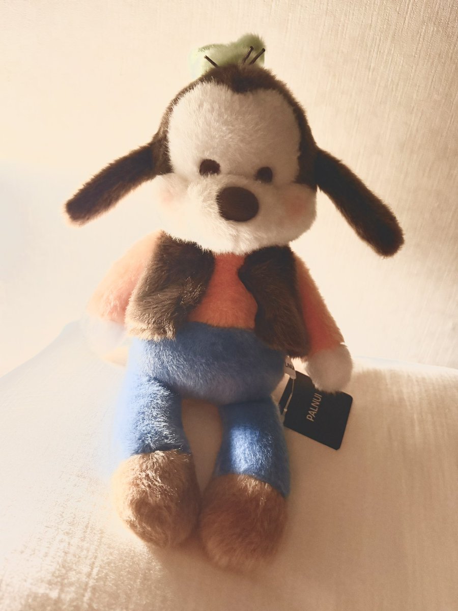 0330rai's tweet photo. 写真見てて実物どうかなぁと思ってたけどあまりにも可愛くて買ったグーフィー
いつまでもグーフィー買ってしまう
かわいい……… https://t.co/L0DHDg85MR