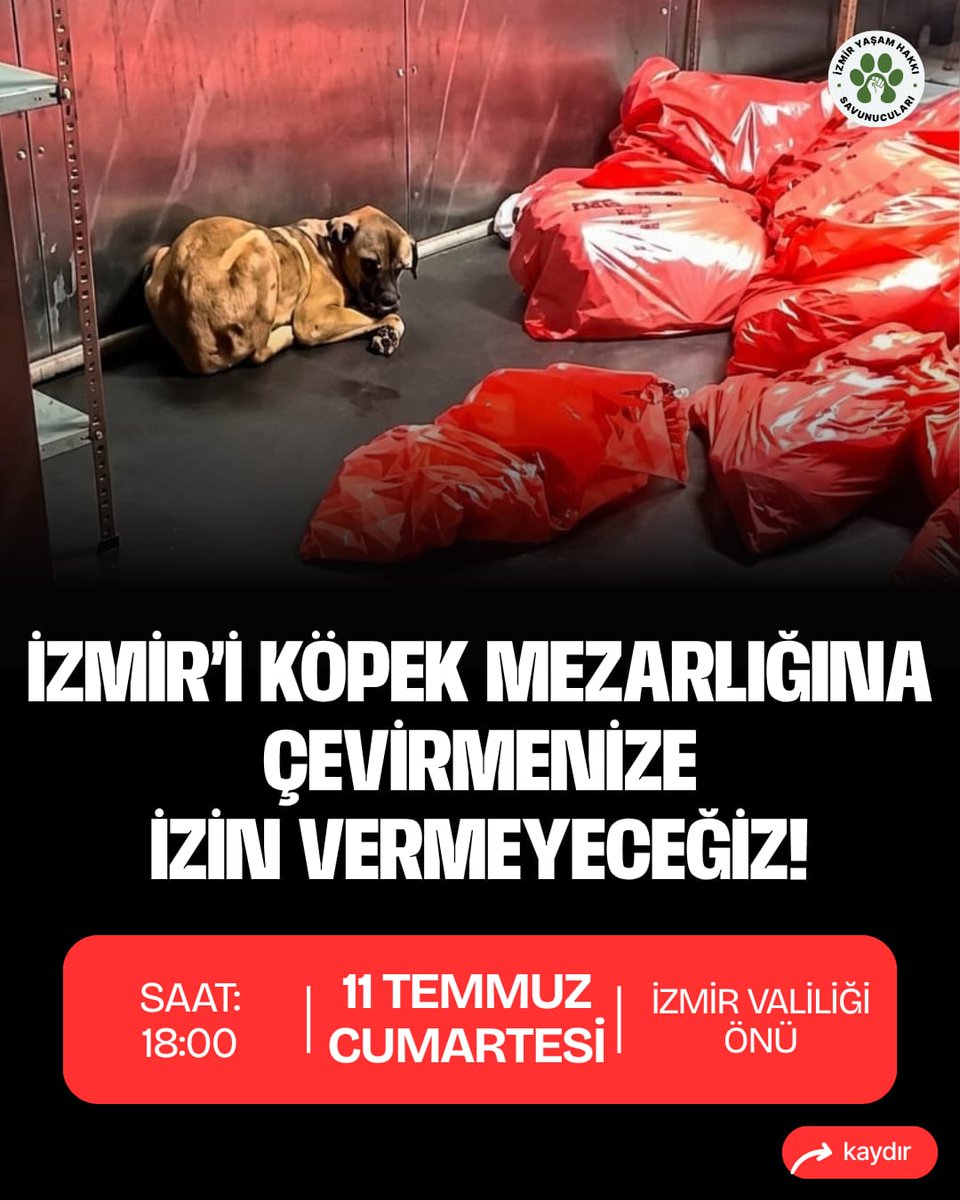 izmirHdk's tweet photo. https://t.co/RH0enYmyiM