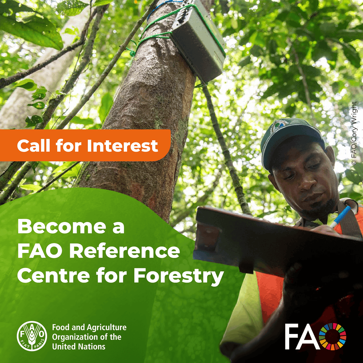FAOForestry's tweet photo. 📢 Become a @FAO Reference Centre for Forestry!

We are seeking institutions for transformative partnerships that will strengthen science-based forest management and support countries in addressing global challenges.

Apply by 31 July 👉 https://t.co/p2a0Ht22t3 https://t.co/rENloo02B6