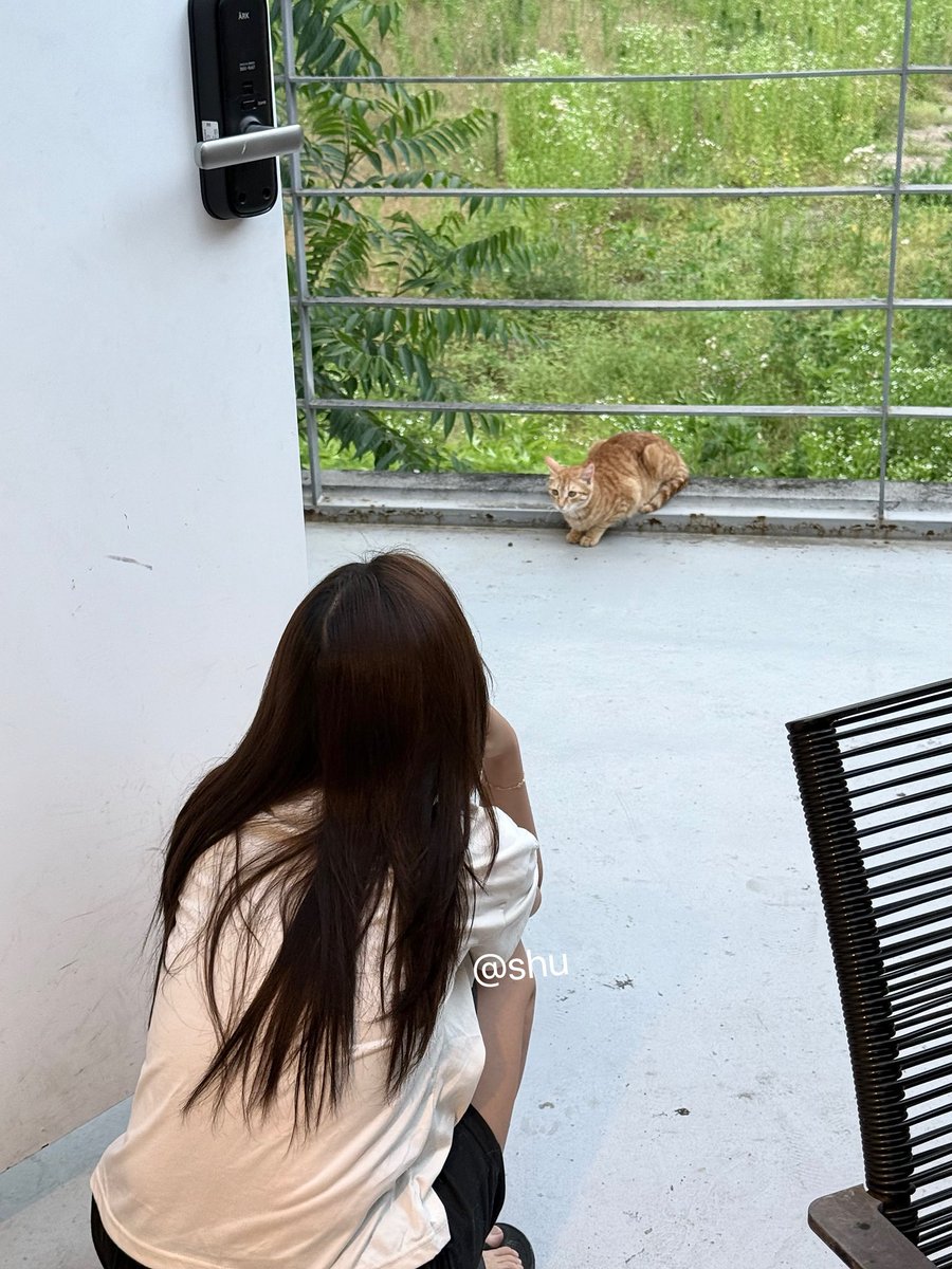 xxbiiew's tweet photo. 🐈 https://t.co/H5KU0tg96v