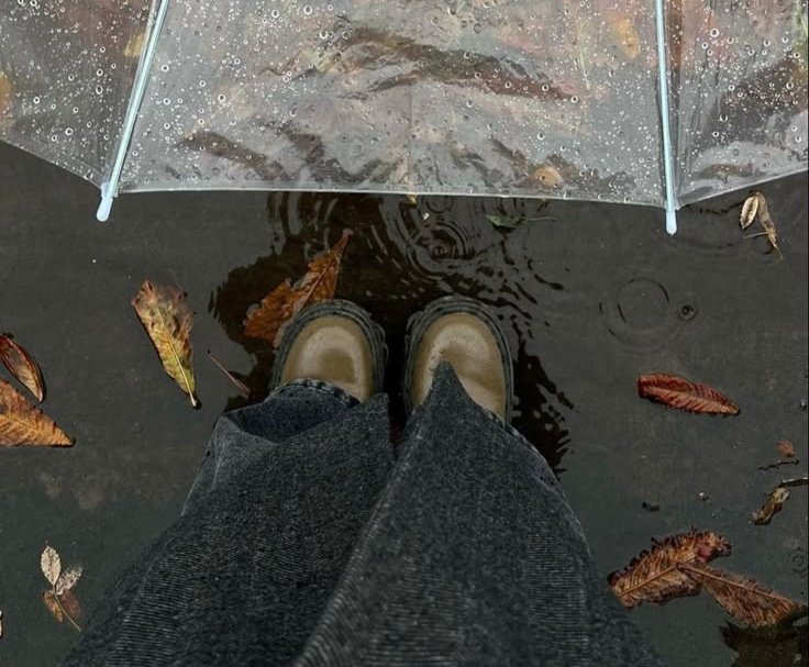 talya9646171863's tweet photo. Rainy days🌧️ https://t.co/tG2HXiBkib