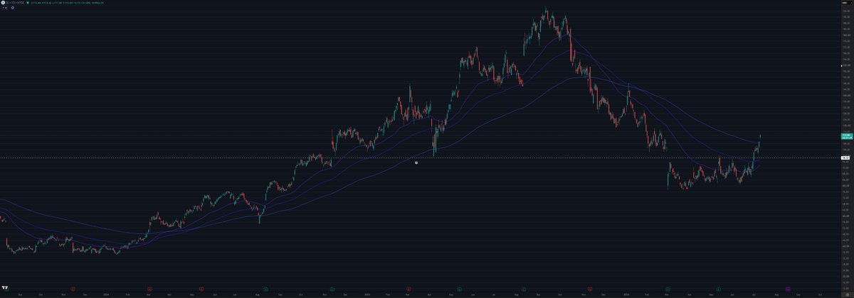 THE SHORT BEAR tweet media