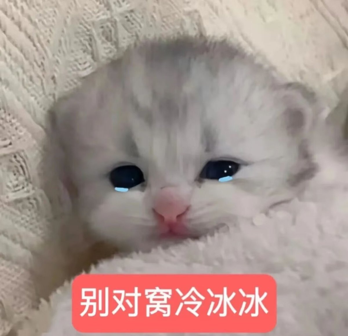 Caleb_angel_'s tweet photo. 夏以昼对待舰人VS夏以昼对待🍏 https://t.co/BNYeiv8lQ8