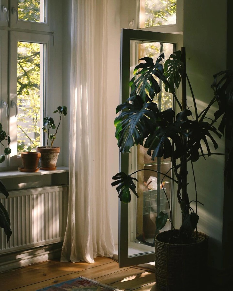 Oxunov M tweet media