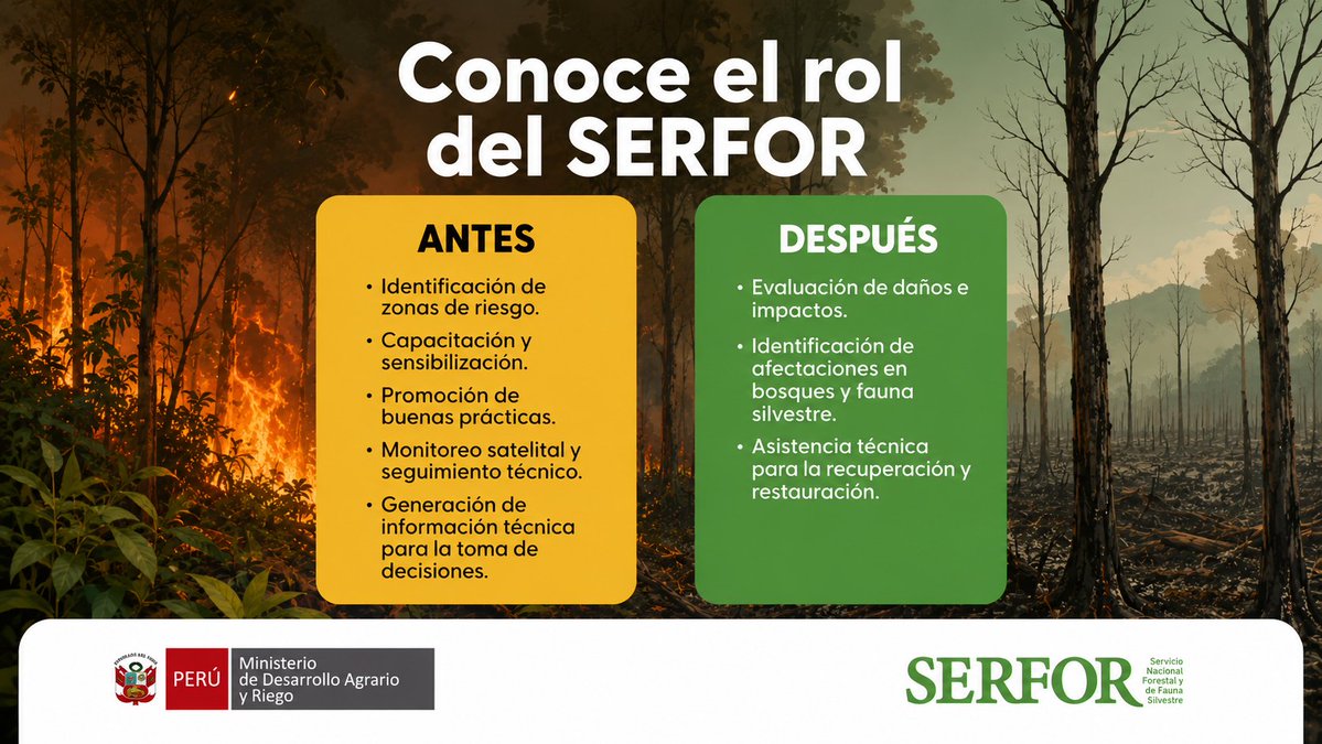 SerforPeru's tweet photo. ¿Cuál es el rol del Serfor frente a los incendios forestales?🔥

El Plan Multisectorial ante Incendios Forestales 2025–2027 liderado por la @pcmperu, establece el rol del SERFOR en la prevención y la asistencia técnica.

¡Prevenir un #IncendioForestal cuesta menos que combatirlo! https://t.co/o9oC8oPnko