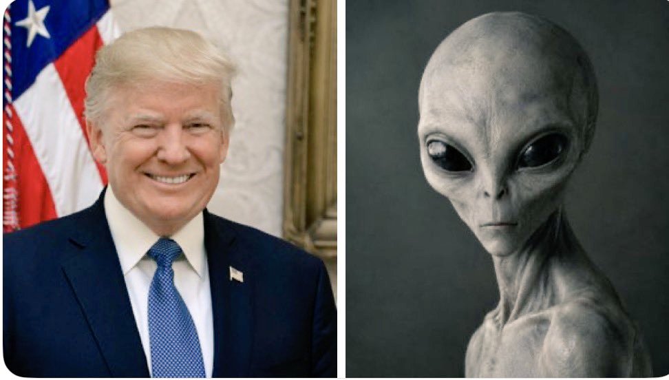 Iran2w's tweet photo. "Some people see a president. Others see a mystery. The internet never runs out of theories. 👽🤔 #Trump #Aliens #Conspiracy"
Trump is biggest lier 🐷🐽🐖 https://t.co/6wA0RcrDsm