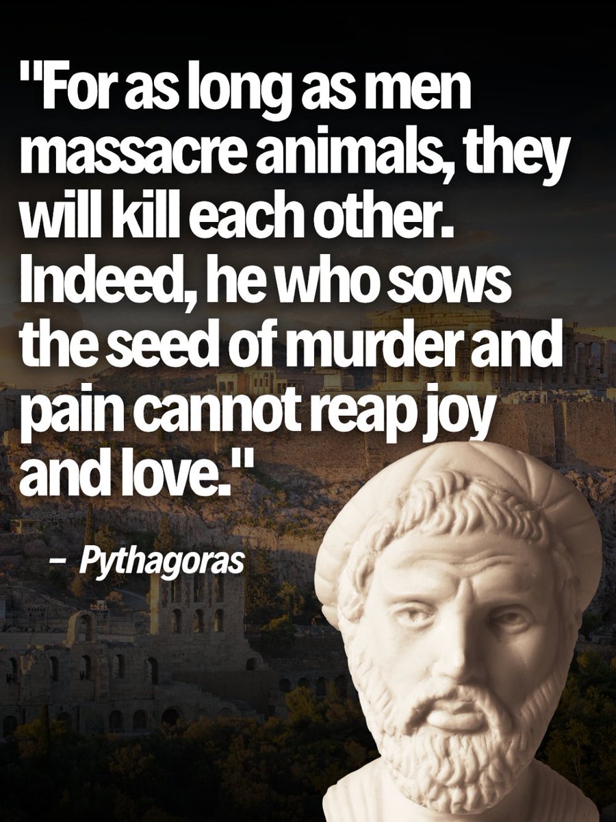 teamveganfta's tweet photo. Violence doesn't stay in one place. The way we treat the most vulnerable shapes the world we create. 💚

#pythagoras #quotes #veganquote https://t.co/LUKWohsHn4