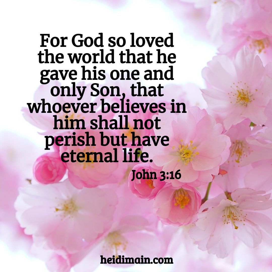 HeidiMain's tweet photo. πππ
#ReflectionFriday #reflections
#scripture #bibleverse #faith https://t.co/r4wVt0l7fR
