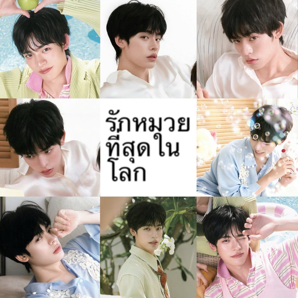 bin9h's tweet photo. i ♥️ หมวย https://t.co/Z43FGu86De
