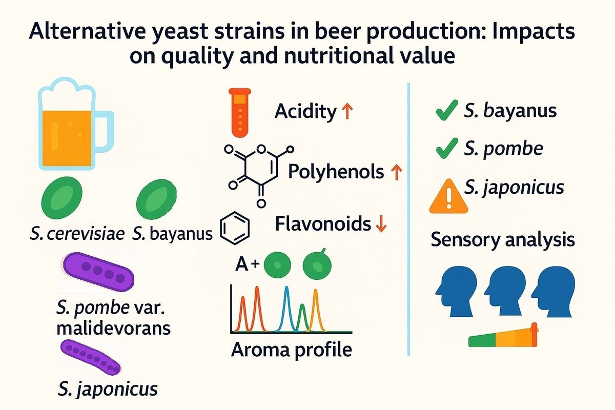 Beverages_MDPI's tweet photo. 📢 Read the Published Paper!

👉 Alternative Yeast Strains in Beer Production: Impacts on Quality and Nutritional Value
📍 https://t.co/kgBdaaYmFS

#MDPI #drinks #beverages #wine #beer #yeaststrains #quality #nutritionalvalue #organolepticcharacteristics https://t.co/WhpdJ7w66y