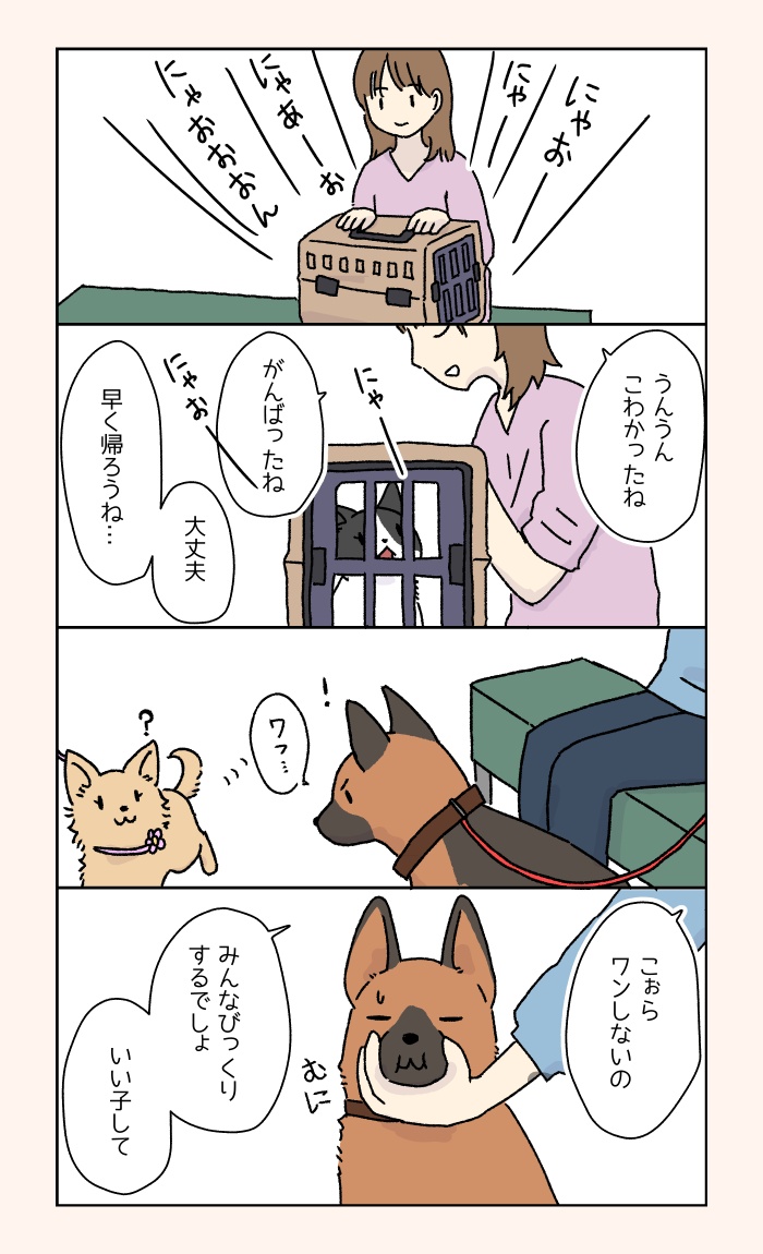 sud_lapin2987's tweet photo. 飼い主さんとのおしゃべりの話（1/2） #動物病院の待合室で見られる光景 https://t.co/3kOWP5JLcb