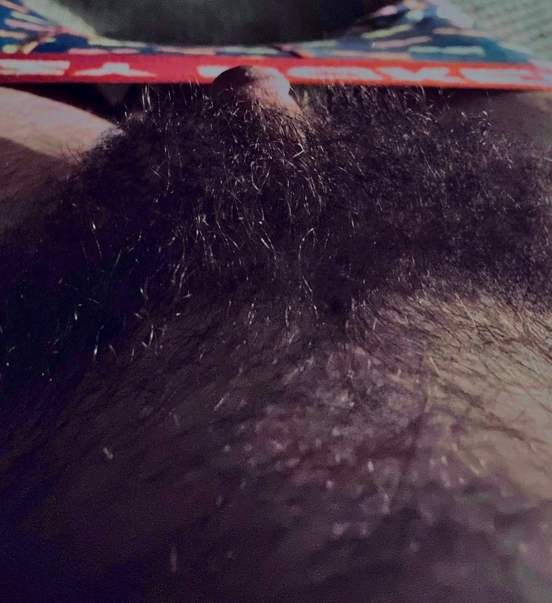 beat_that_bush's tweet photo. that’s what a real man’s bush looks like for y’all that don’t got one
#hairy_man #bigbush https://t.co/FtEbTf1GU9