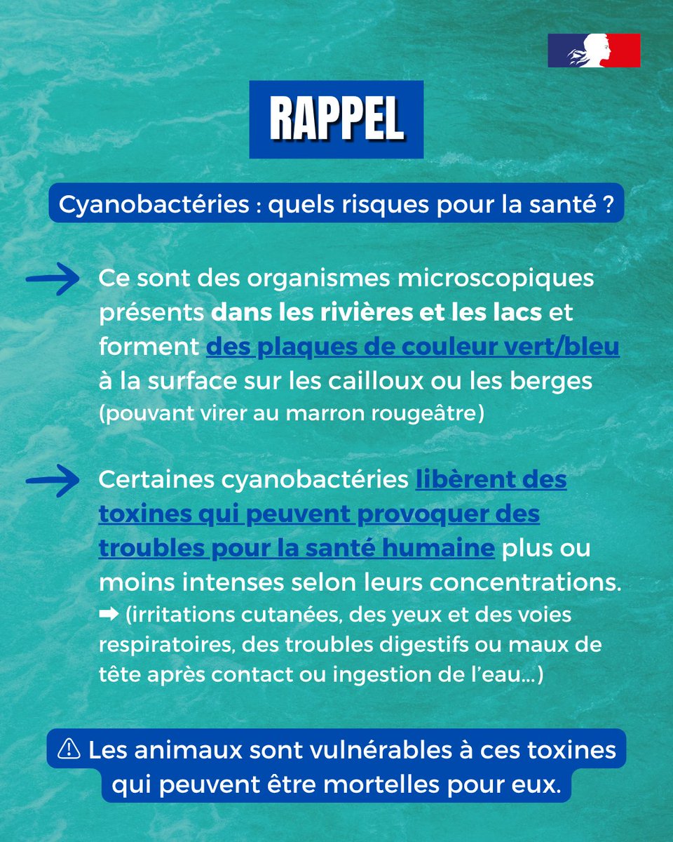 ARS_NAquit's tweet photo. #Cyanobactérie 🚫🏊‍♂️| Sites de baignades : fermeture pour cause de cyanobactéries ➡ Un bulletin hebdomadaire pour rester informé en Nouvelle-Aquitaine à 𝒗𝒐𝒊𝒓 𝒊𝒄𝒊 : https://t.co/xnsskPSXXT https://t.co/RzKIywK32j