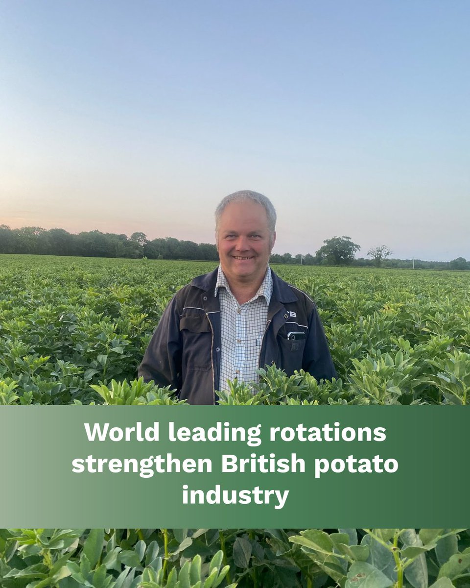 gb_potatoes's tweet photo. 🤔 What do an agronomist, farmer, technical manager, researcher and the CEO of GB Potatoes all agree on? 👇

Long, robust potato rotations are building a more productive, resilient and sustainable British potato industry.

https://t.co/sAzPXSrA0Z

@Branston @McCainUKIE @Tesco https://t.co/CupoTPBu5C