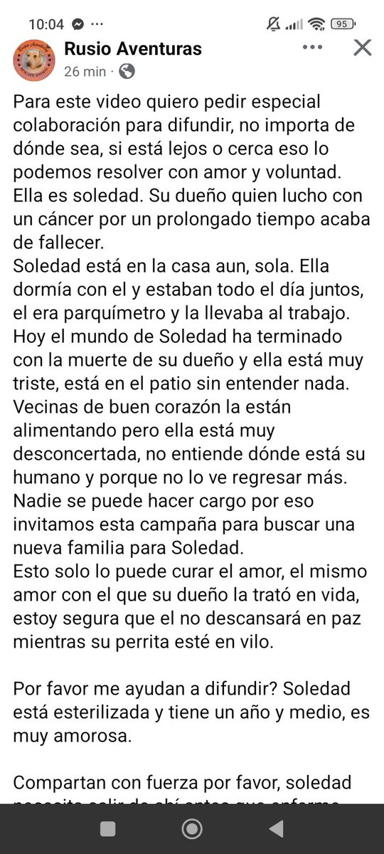 RockdrigoRoman's tweet photo. Me parte el alma esta historia. Ayúdame con un RT porfa 😔💔.
Esto es en la región de O'higgins. https://t.co/odJSMGKng9