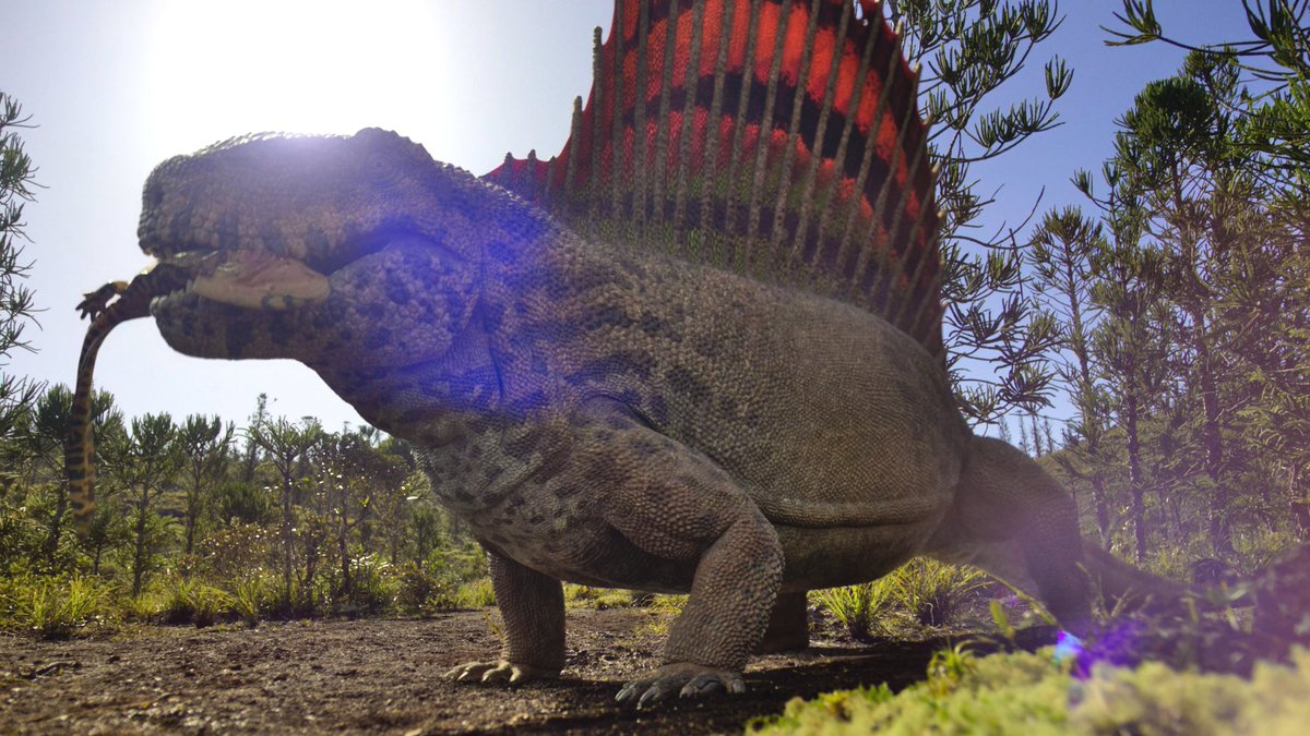 raftingzalmoxes's tweet photo. #SurvivingEarth E05.
A CSOTONYI-STYLE PALEOART MASTERPIECE.
Colours, models, compositions, practical FX, storytelling...
Issues are restricted to narration, either rooted in old scicomm simplifications or relate to complex socio-environmental issues, so no major penalty.
9.9/10. https://t.co/MW6gOtody3