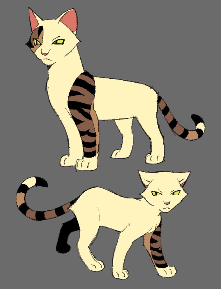 maeybat's tweet photo. i liked that cat that looked like it had a tattoo sleeve so i was designing https://t.co/qqFYrnJLRC