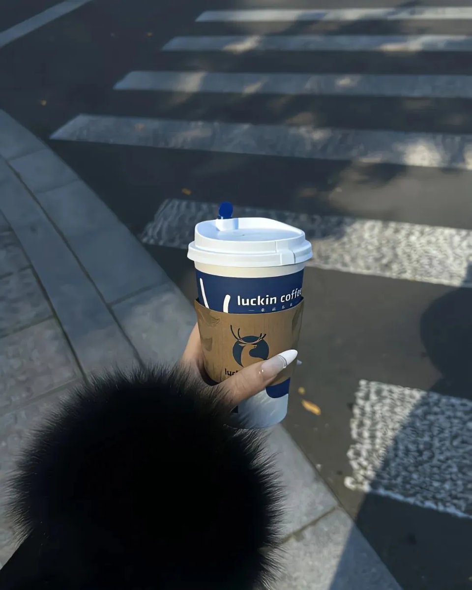 HermannVisseren's tweet photo. Brrr! Cold snap hit the city today—coffee’s extra warming, scarves are non-negotiable, and the first snowflake of the season just danced past my window , https://t.co/ncnQIPRTwV