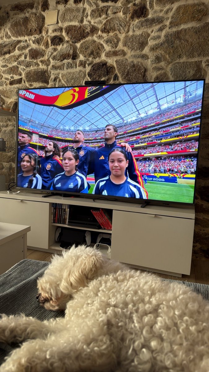 martaconmaleta's tweet photo. No será mi perra la más preocupada con este partido ? 🇪🇸🤣 https://t.co/3eeO6pWHZw