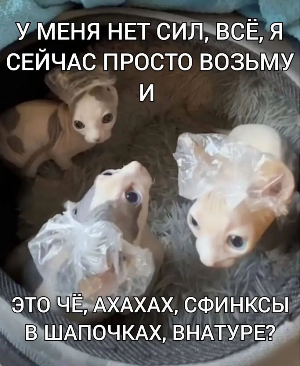 gugelbugel's tweet photo. https://t.co/sYYV6EzyCt