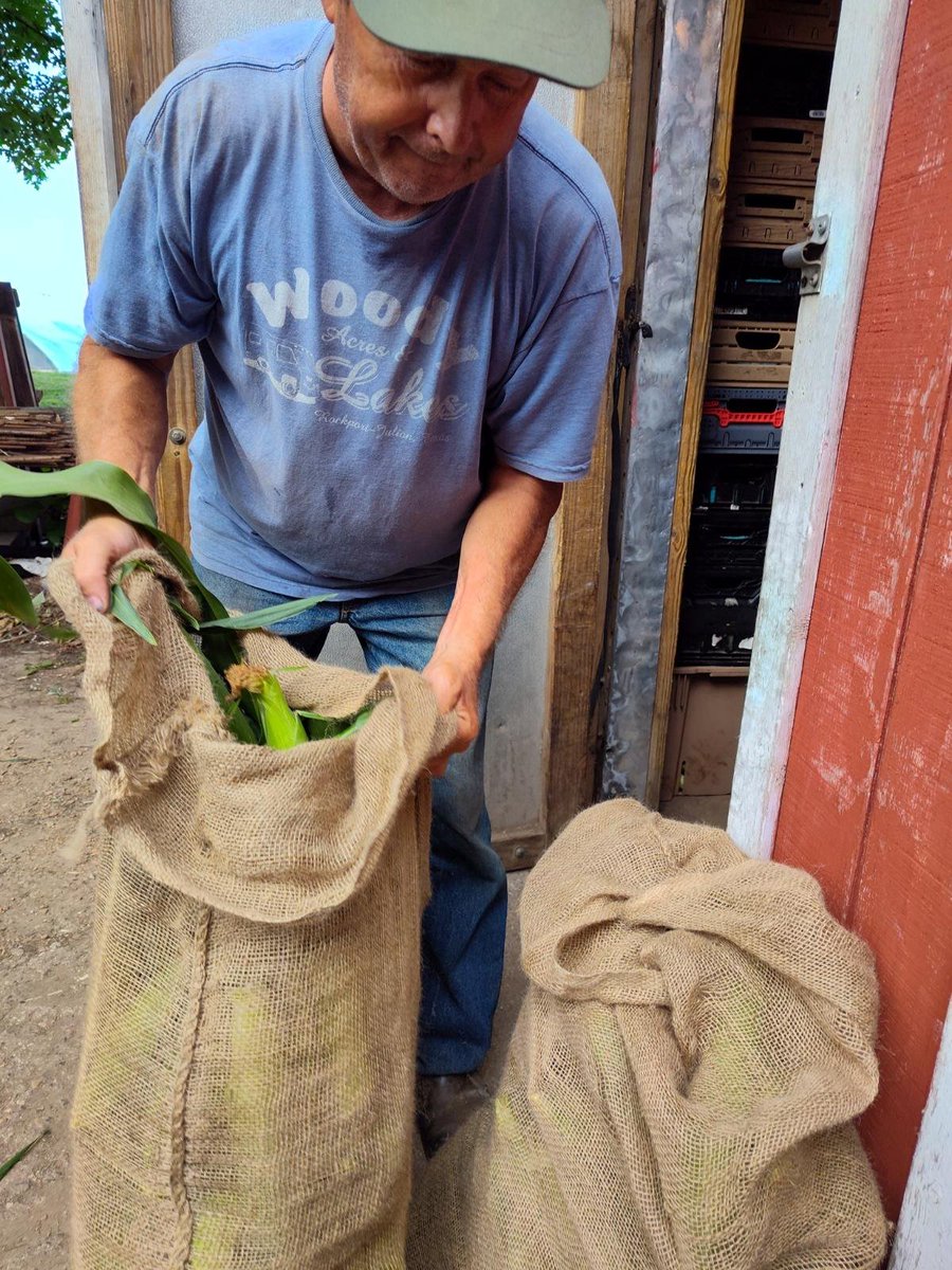 PetersPumpkins's tweet photo. The question we've been hearing all summer: 'When will the sweet corn be ready?" TOMORROW is the day!
Find us at our Roadside Stand in Shakopee or at one of our farmers markets. We can't wait to see you this weekend! Fresh from our farm to your table!
https://t.co/Ac175zRBFs https://t.co/5OvcvMry0q