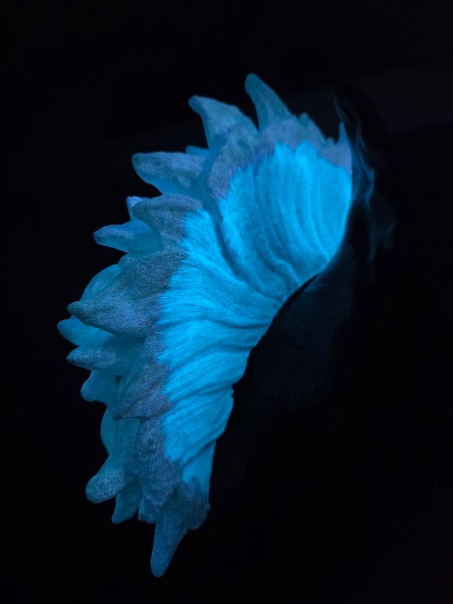 SnapJawForge's tweet photo. Glowwwww <3 https://t.co/7SNbmMi4yR