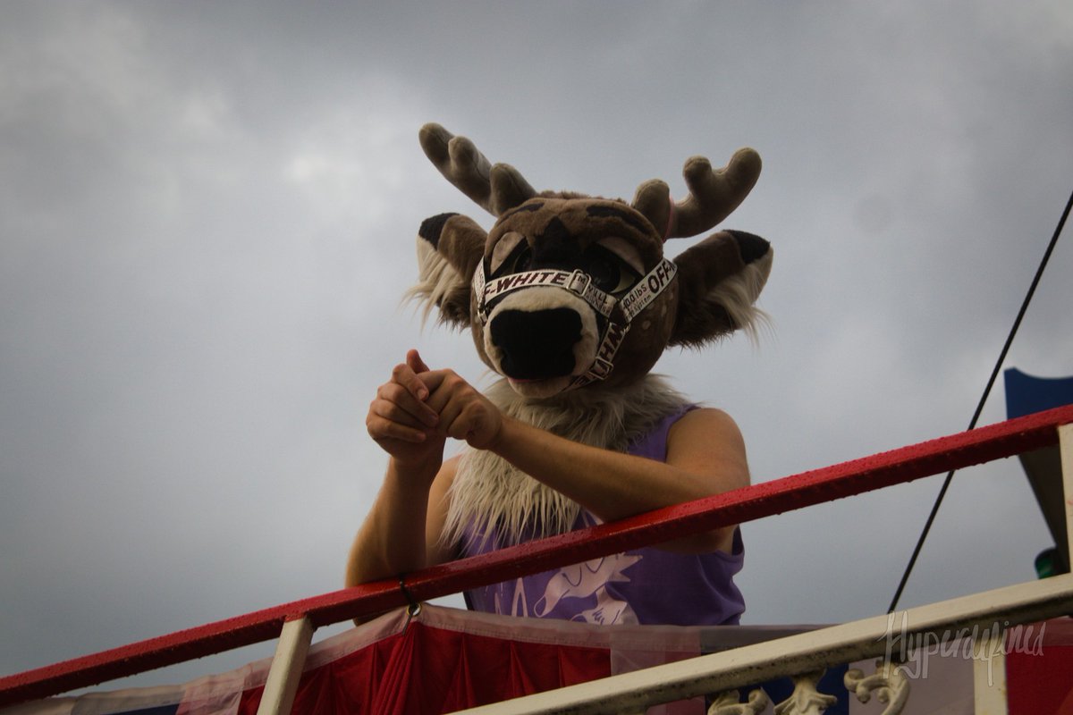 Stag Lutz @AC tweet media