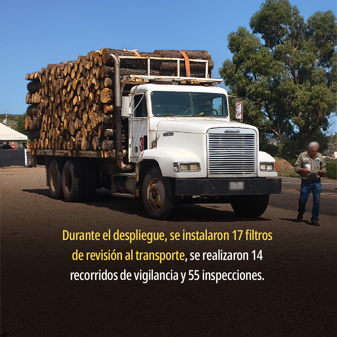 PROFEPA_Mx's tweet photo. 🚨🌳🪵 Como parte de las acciones permanentes para combatir la tala ilegal, el cambio de uso de suelo y el transporte ilícito de productos y subproductos forestales, realizamos el segundo multioperativo forestal simultáneo en 25 estados de México. 

📌 Conoce más ➡️ https://t.co/G5MllsyyAU