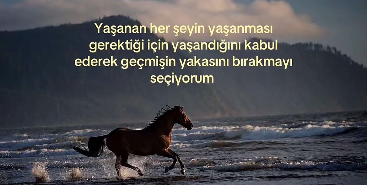 duygusuzfistik_'s tweet photo. geçmişin yakasını bırakmayı seçiyorum https://t.co/y9OcS8LiEm
