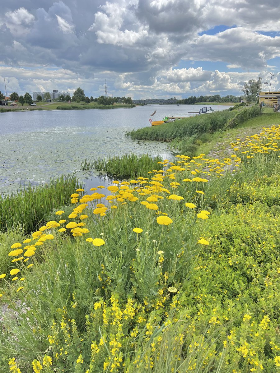MMeistere's tweet photo. Jelgavā skaisti, jāaizbrauc biežāk 🤩 #jelgava https://t.co/BRM6aYmvaM