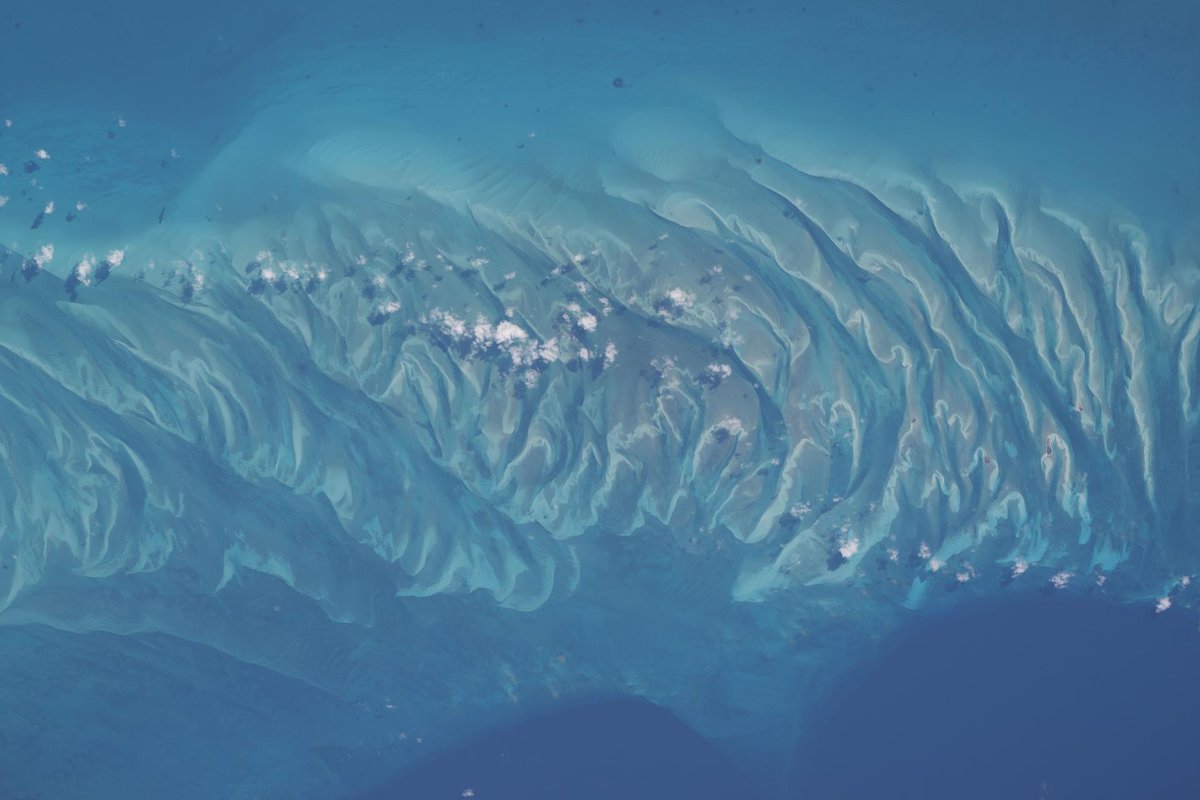 NASA's Johnson Space Center tweet media