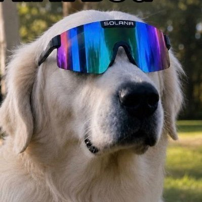 Aone78745's tweet photo. Gotta get the sunglasses cause it is @solana $Mogdog summer. https://t.co/XskowVpFJ3