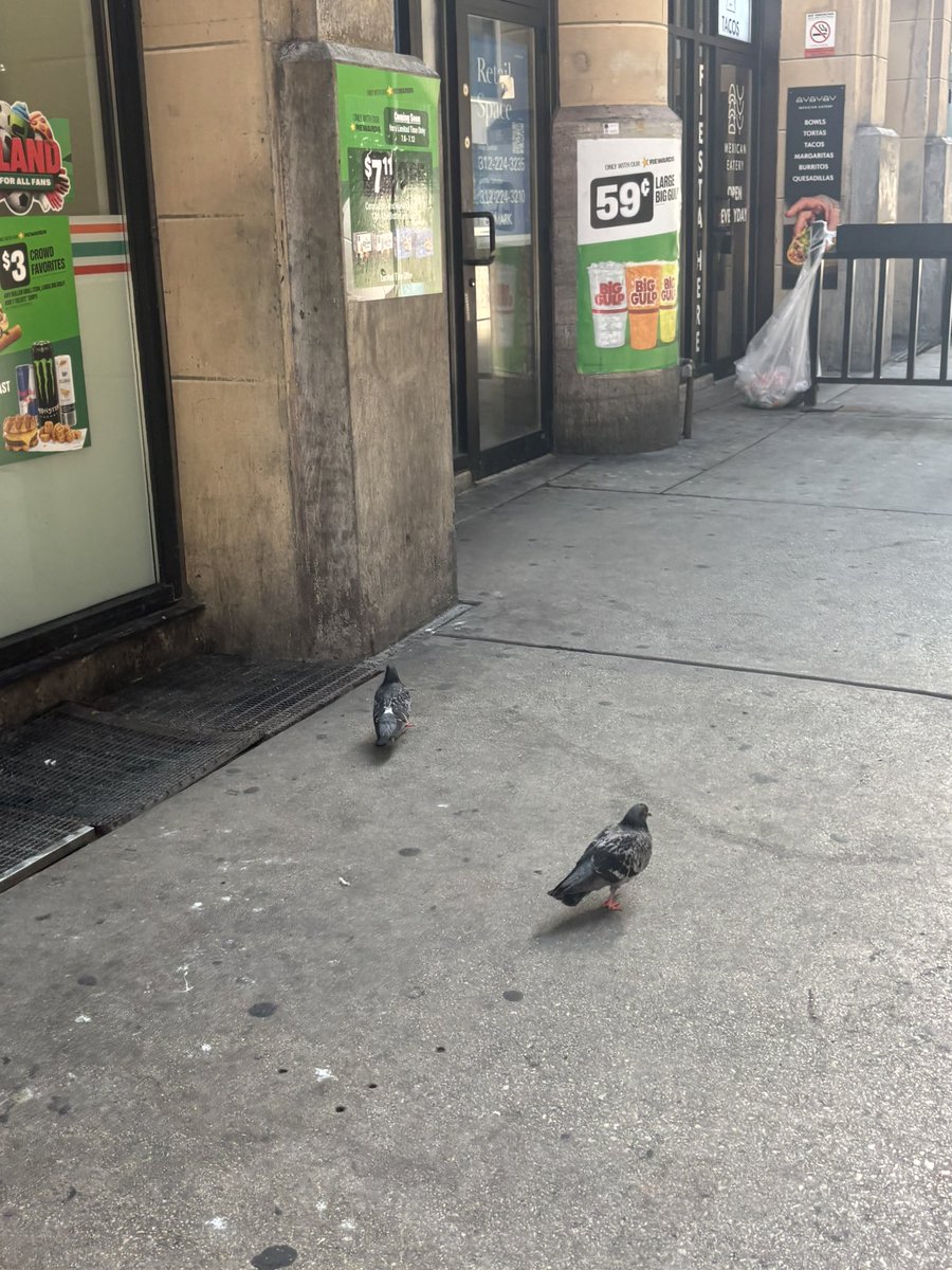 old_lotion's tweet photo. greatest city in da world https://t.co/2MDW7X9jx6