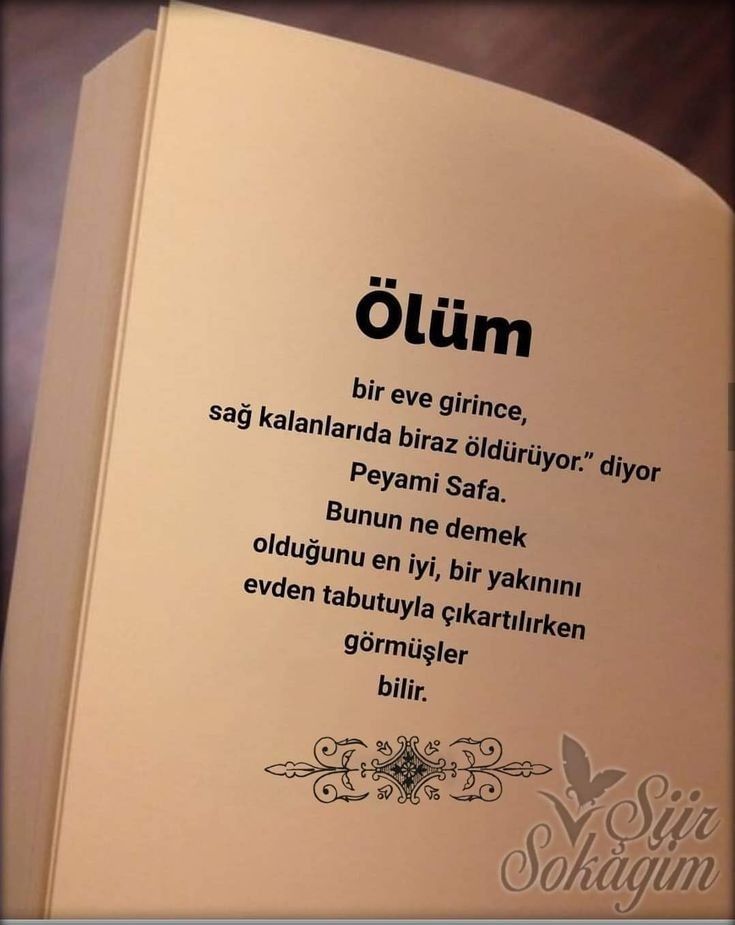 ceyhanoguzhan's tweet photo. https://t.co/WxcyPnjCIu