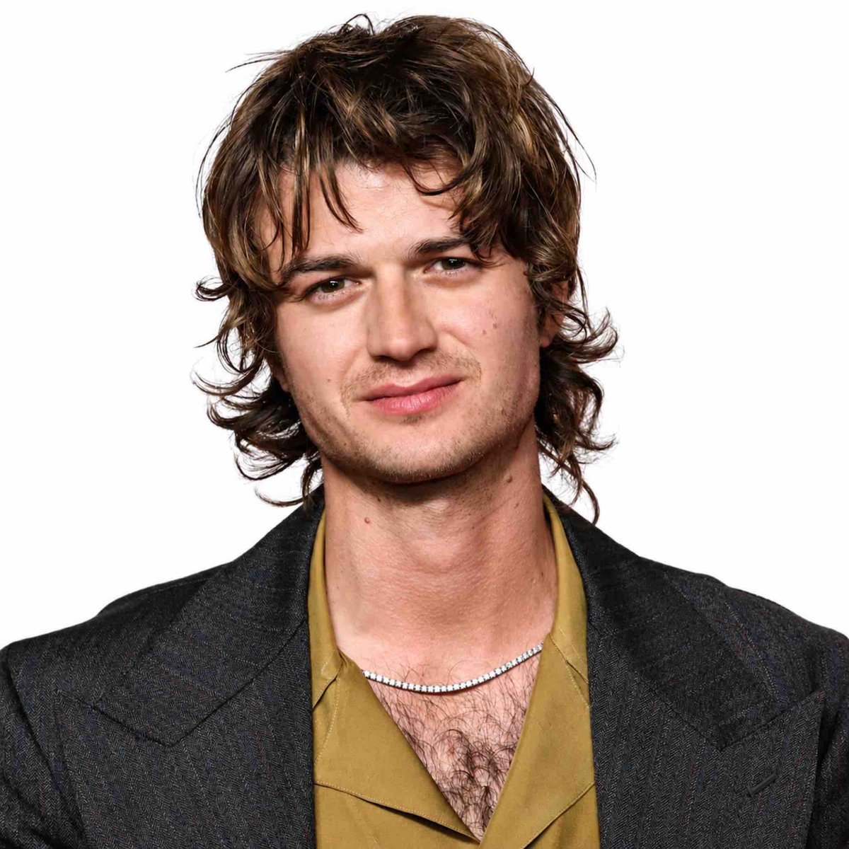 BuzzCrave_'s tweet photo. Stranger Things star Joe Keery confirms he's dating Sabrina Carpenter:

"Scoops Ahoy had a good run, but I'm an Espresso guy now." https://t.co/KaOBQQVrpQ