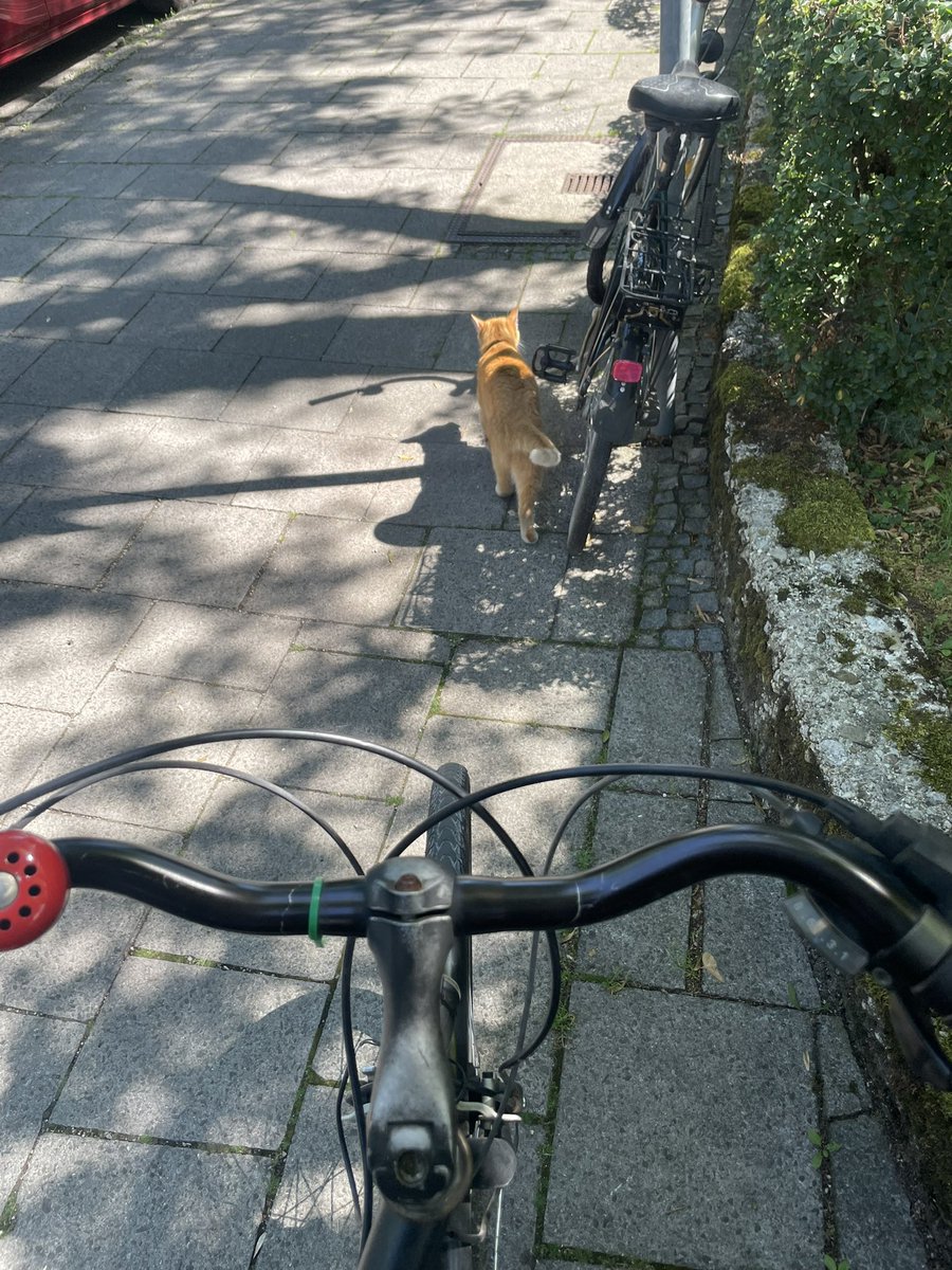 hyundertwasser's tweet photo. A successful day https://t.co/tupNmCHNPW